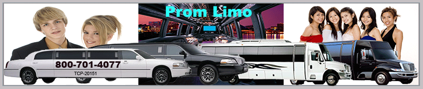 Prom Limousine Alamo